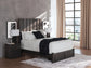 Fraluna Queen Panel Storage Bed, Dresser, Mirror and Nightstand